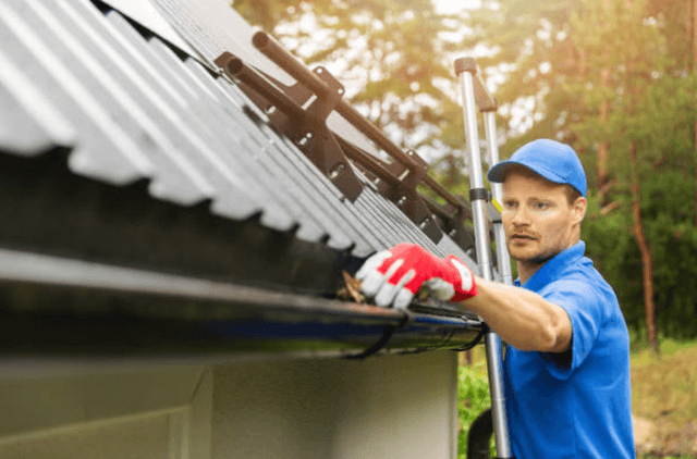 seattle gutter service